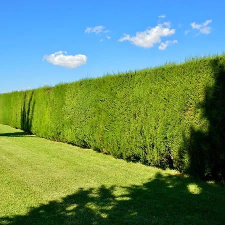 Apartament Vedesa Gallipoli